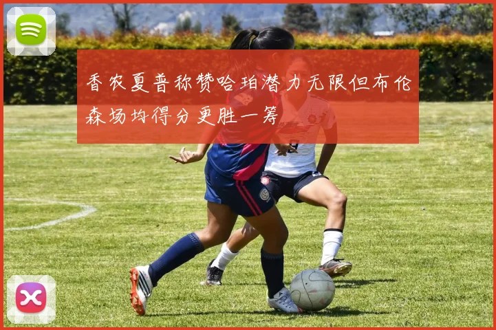 香农夏普称赞哈珀潜力无限但布伦森场均得分更胜一筹