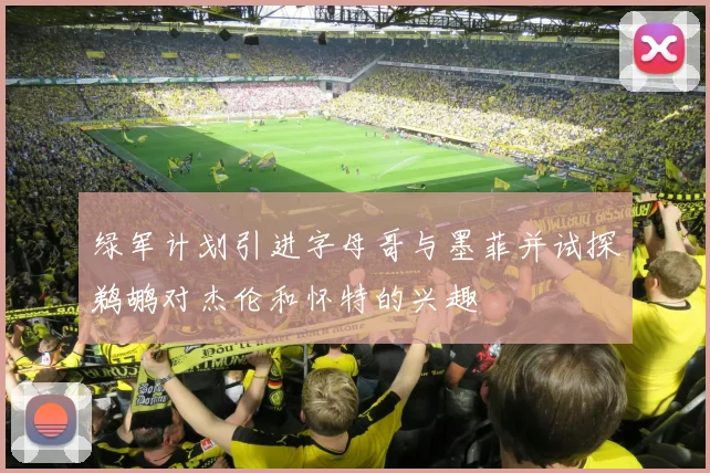 绿军计划引进字母哥与墨菲并试探鹈鹕对杰伦和怀特的兴趣