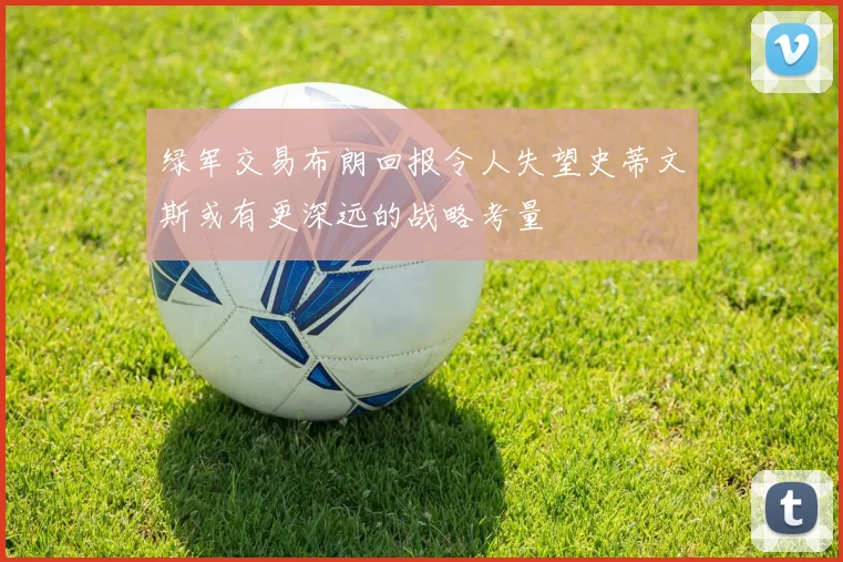 绿军交易布朗回报令人失望史蒂文斯或有更深远的战略考量